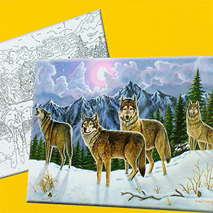 Раскраска по номерам